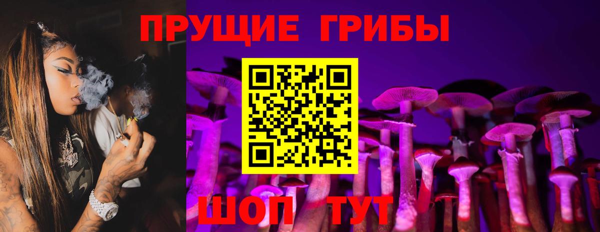 Галлюциногенные грибы прущие грибы  Вход с VPN  Феодосия 