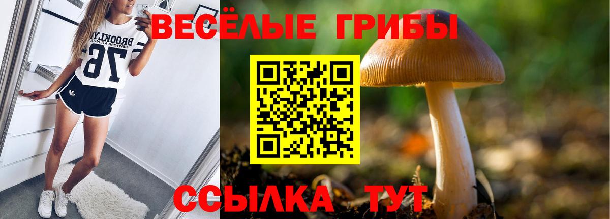 Галлюциногенные грибы Psilocybe Феодосия