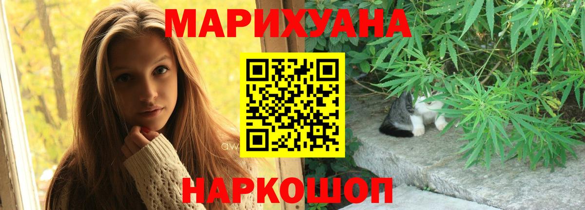 Бошки Шишки план Феодосия